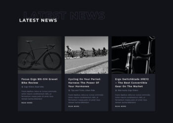 ergo-section-blog-snippet