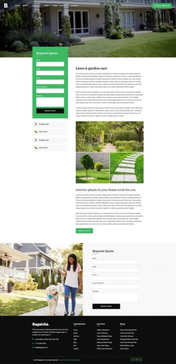 bagaicha-service-single